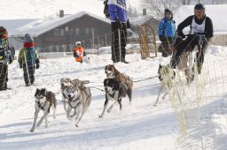Lenk 2012 SM